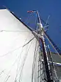Shenandoah's sails