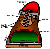 Cutaway view of a typical shoe.