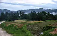 Rice terraces in the hills of Sierra Bullones