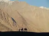 Silhoutte taken at Nubra Valley