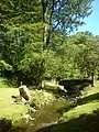 Stream at Letham Glen Park