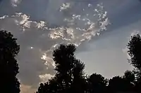 The pollution free evening