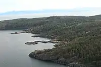 A tree-lined bay seen from the air