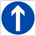Ahead only (Turning left and right is prohibited)