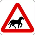 Horses