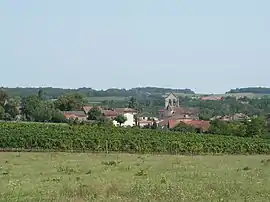 A general view of Singleyrac