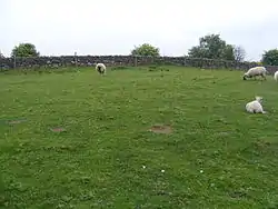 Site of Milecastle 23