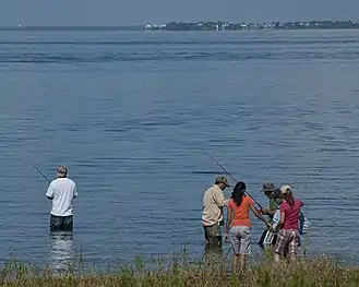 Six wade fishing