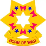 Sixth United States Army / United States Army South"Born of War"