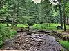 A rockky stream between two grassy banks with picnic tables, forest in the background