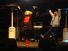 Skater performing in Maribor on New Year's Eve, 2008–09