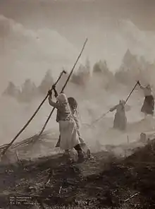 Slashing-and-burning in Eno, Finland, in 1893