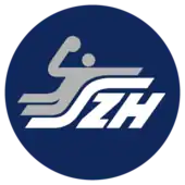 Shirt badge/Association crest