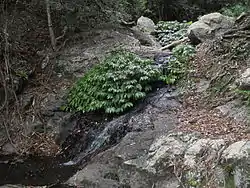 Small cascade above Mcgrory Falls.
