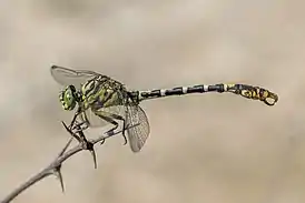 This image was taken in Bulgaria