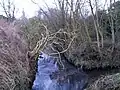 8. Confluence with Graiseley Brook in Smestow Valley Local Nature Reserve