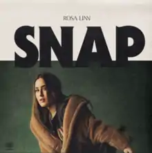 The official cover for "Snap"