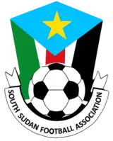 Shirt badge/Association crest