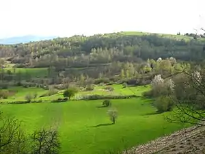 southern part of Mrzlo polje