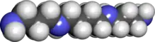 Spacefill model of spermine