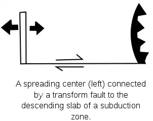 Spreading to Down NEW