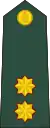 Lieutenant(Sri Lanka Army)