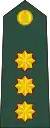 Sri Lanka Army