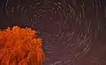 A typical Northern Hemisphere star trail with Polaris in the center.