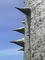 Detail of thorns