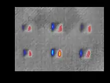 Shearography output image of CFRP/honeycomb part with artificial defects