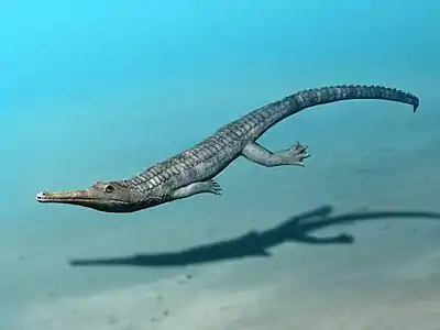 Reconstruction of Macrospondylus, a close relative of Andrianavoay