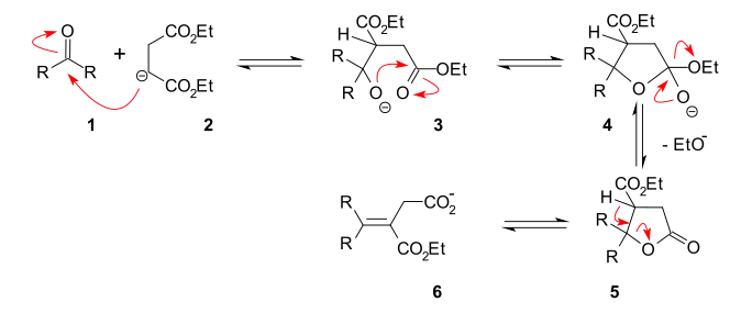 Stobbe condensation mechanism