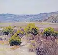 Rabbitbrush in the Desert - California, 1927