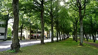 An esplanade along the Storagatan.