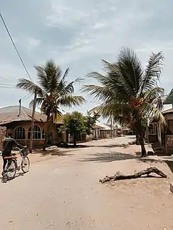 Street Scene, Msambweni Ward, Tanga