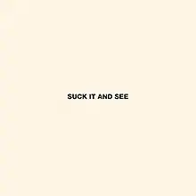 The title "Suck It and See" is placed in the centre of a cream background, stylized in all capital letters.