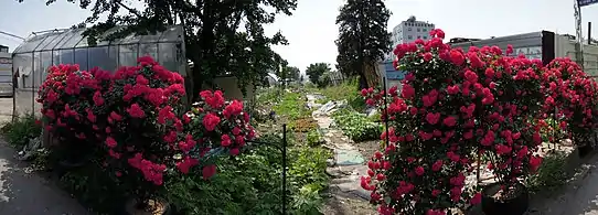 In Pyeong-dong, Suwon.mw-parser-output .geo-default,.mw-parser-output .geo-dms,.mw-parser-output .geo-dec{display:inline}.mw-parser-output .geo-nondefault,.mw-parser-output .geo-multi-punct{display:none}.mw-parser-output .longitude,.mw-parser-output .latitude{white-space:nowrap}37°15′05″N 126°59′06″E﻿ / ﻿37.25139°N 126.98500°E﻿ / 37.25139; 126.98500