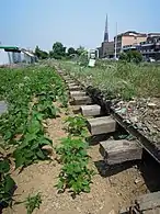 In Pyeong-dong, Suwon.mw-parser-output .geo-default,.mw-parser-output .geo-dms,.mw-parser-output .geo-dec{display:inline}.mw-parser-output .geo-nondefault,.mw-parser-output .geo-multi-punct{display:none}.mw-parser-output .longitude,.mw-parser-output .latitude{white-space:nowrap}37°15′02″N 126°58′58″E﻿ / ﻿37.25056°N 126.98278°E﻿ / 37.25056; 126.98278