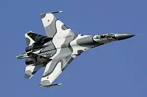 Sukhoi Su-27  101 Units