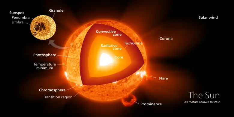 Image 19SunDiagram credit: Kelvin MaThe Sun is the star at the center of the Solar System. It is a nearly perfect sphere of hot plasma, heated to incandescence by nuclear-fusion reactions in its core, radiating the energy mainly as visible light and infrared radiation. It is by far the most important source of energy for life on Earth. Its diameter is about 1.39 million kilometres (860,000 mi), or 109 times that of Earth. Its mass is about 330,000 times that of Earth, and accounts for about 99.86 percent of the total mass of the Solar System. Roughly three-quarters of the Sun's mass consists of hydrogen; the rest is mostly helium, with much smaller quantities of heavier elements, including oxygen, carbon, neon, and iron. This diagram illustrates the general structure of the Sun, with all features drawn to scale.More selected pictures