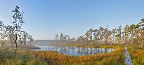 Image 38Sunrise at Viru Bog, Estonia (from Wetland)