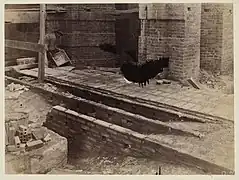 Guastavino tile vaults are strong enough to support the flooring above