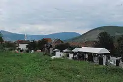 View of Drugovo with village mosque in the background