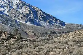 Top end of Swall Meadows (center), below the Wheeler Crest
