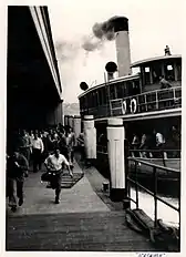 arriving at Circular Quay, 1950s
