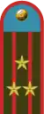Colonel