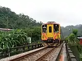 DR1000 on the Pingsi line