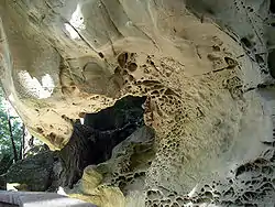 Tafoni formation in the mountains near San Francisco.