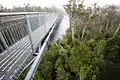 View from the cantilever bridge on the Tahune Forest AirWalk.