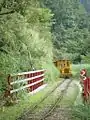 Taiping Mountain Bong Bong Train